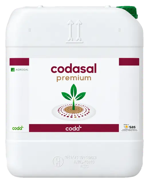 Envase de Codasal Premium